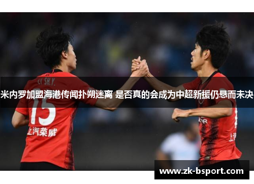 米内罗加盟海港传闻扑朔迷离 是否真的会成为中超新援仍悬而未决 米内罗加盟海港传闻扑朔迷离 是否真的会成为中超新援仍悬而未决