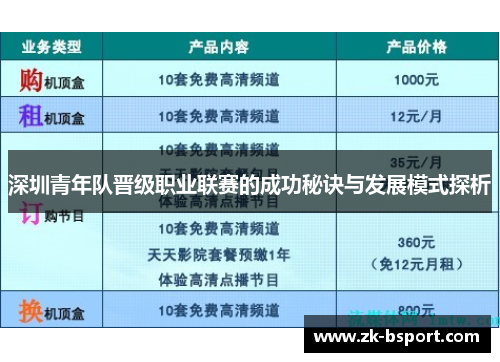 深圳青年队晋级职业联赛的成功秘诀与发展模式探析