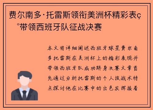 费尔南多·托雷斯领衔美洲杯精彩表现带领西班牙队征战决赛