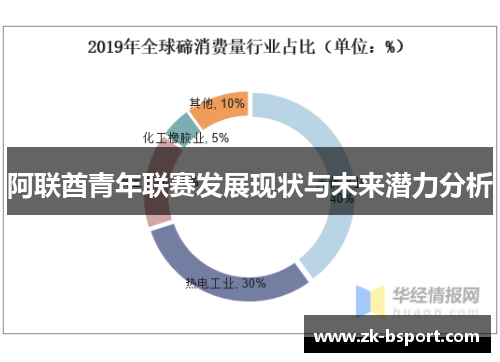 阿联酋青年联赛发展现状与未来潜力分析 阿联酋青年联赛发展现状与未来潜力分析