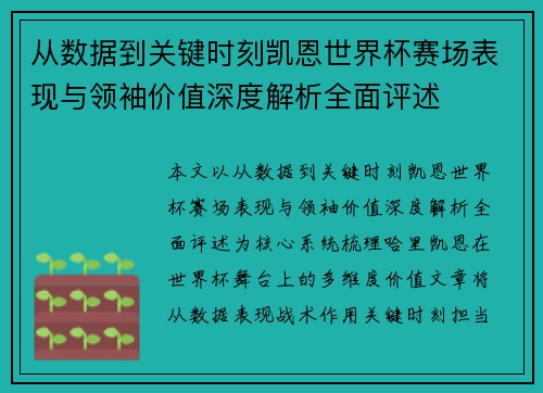 从数据到关键时刻凯恩世界杯赛场表现与领袖价值深度解析全面评述